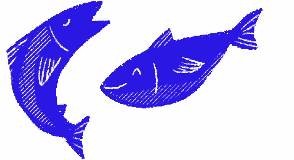 Illustration La Finebox : poissons