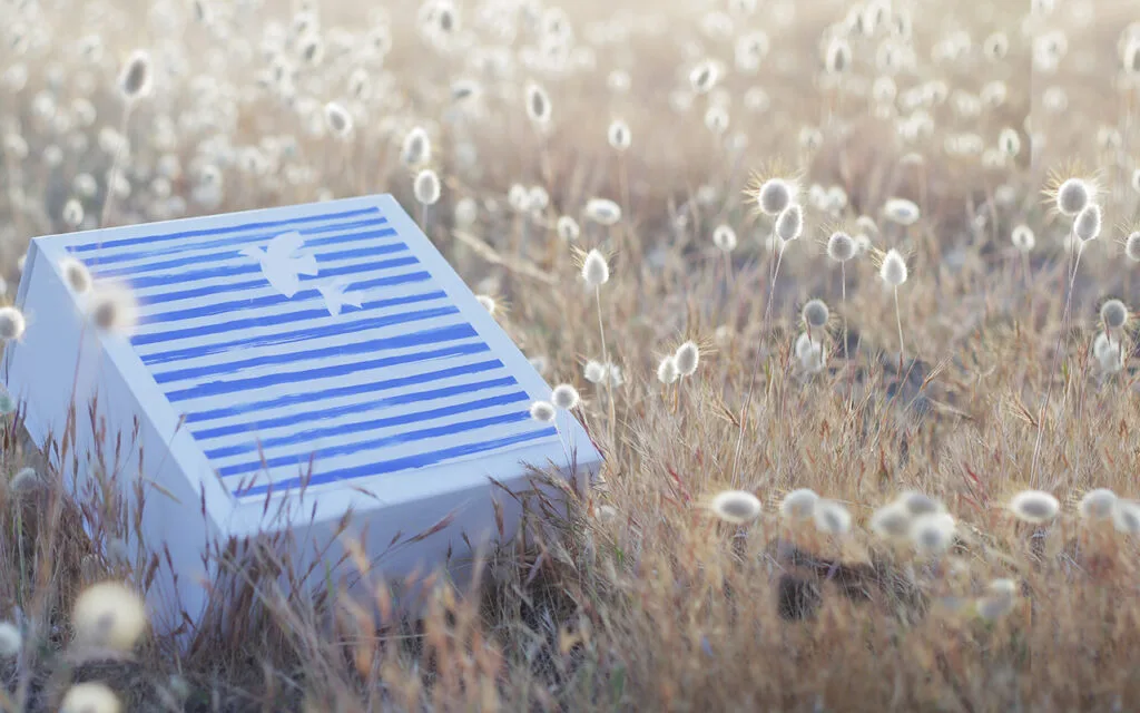 Coffret cadeau La Finebox à rayures bleues et blanches posé dans un champ, style marinière bretonne
