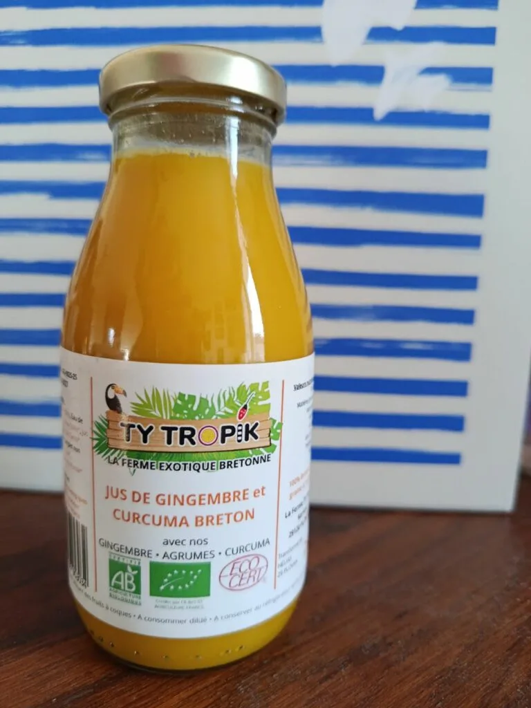 Ty Tropik : Jus de gingembre et curcuma breton, l'énergizer de La Finebox