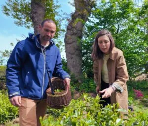 Producteur de thé breton artisanal Horthéus en Bretagne sélectionné par La Finebox